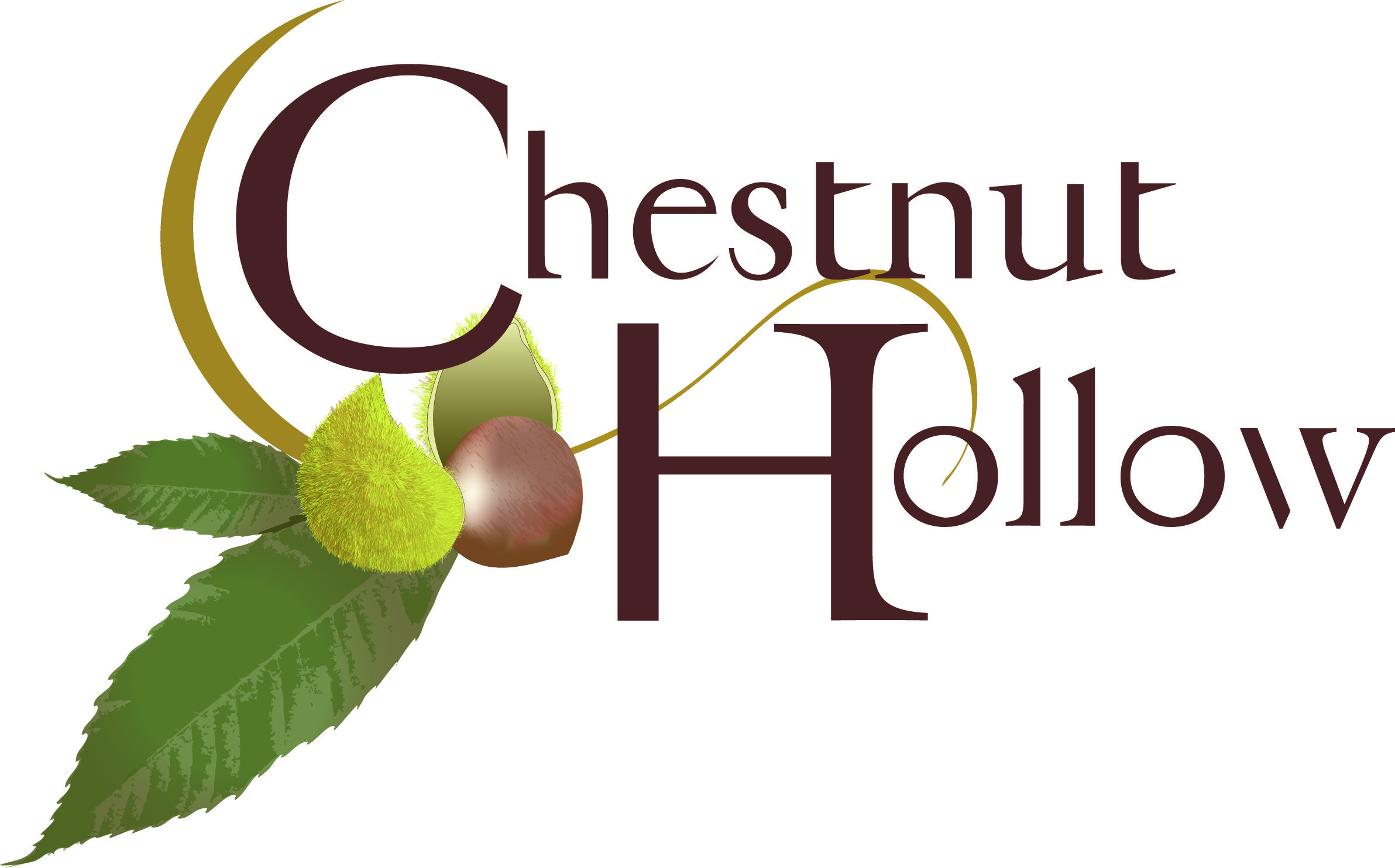 Chestnut Hollow logo